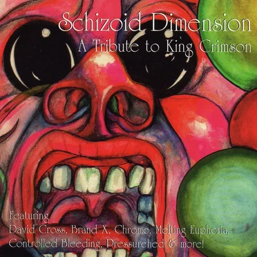 Schizoid Dimension: A Tribute to King Crimson by Various Artists - album cover