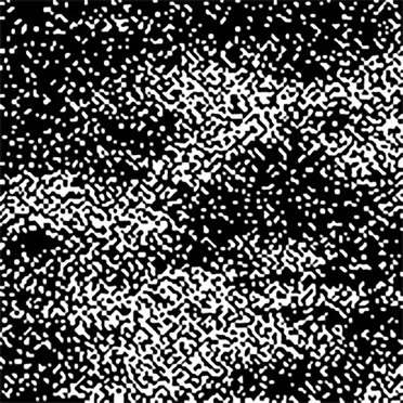 fluxus