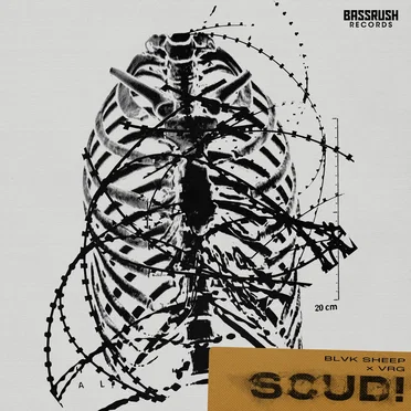 SCUD!