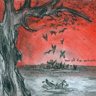 Diving Gulls by Sons of the Patriots - album cover