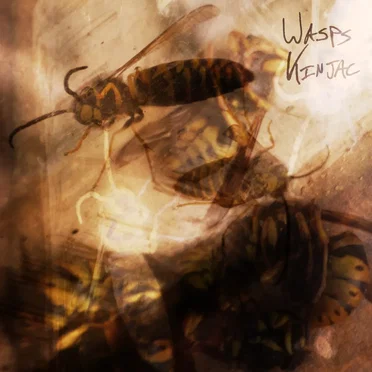 Wasps