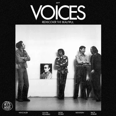 Rediscover the Beautiful by Voices - album cover