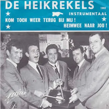 Kom toch weer terug bij mij! / Heimwee naar jou!