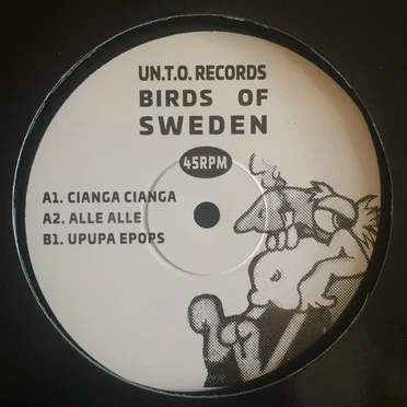 Birds Of Sweden by Birds Of Sweden - album cover