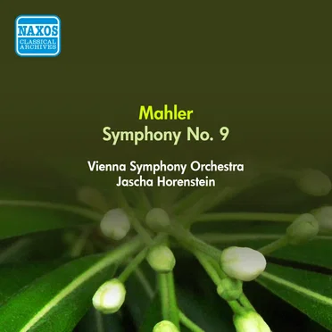 Symphony no. 9