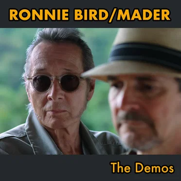 The Demos by Ronnie Bird - album cover