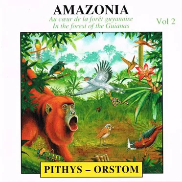 Amazonie, Vol. 2 by Pierre Huguet - album cover