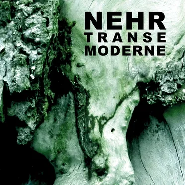 Transe moderne
