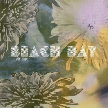 Native Echoes by Beach Day - album cover