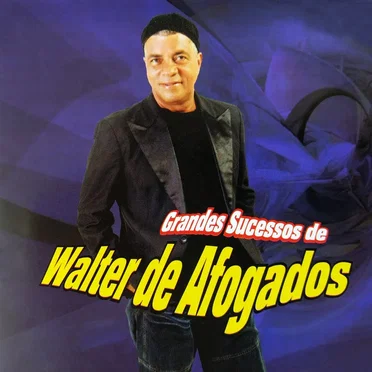 Grandes Sucessos by Walter de Afogados - album cover
