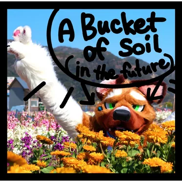 A Bucket of Soil by Monday9 - album cover