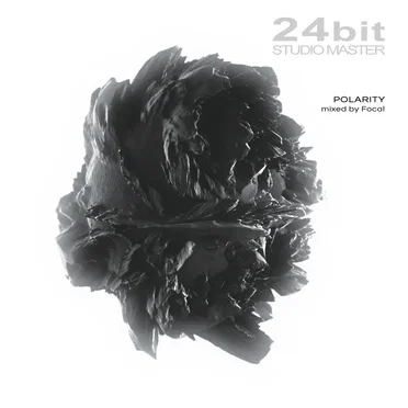 Polarity by Various Artists - album cover