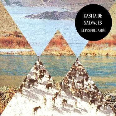 El Peso del Amor by Casita de Salvajes - album cover