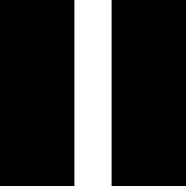 spinal