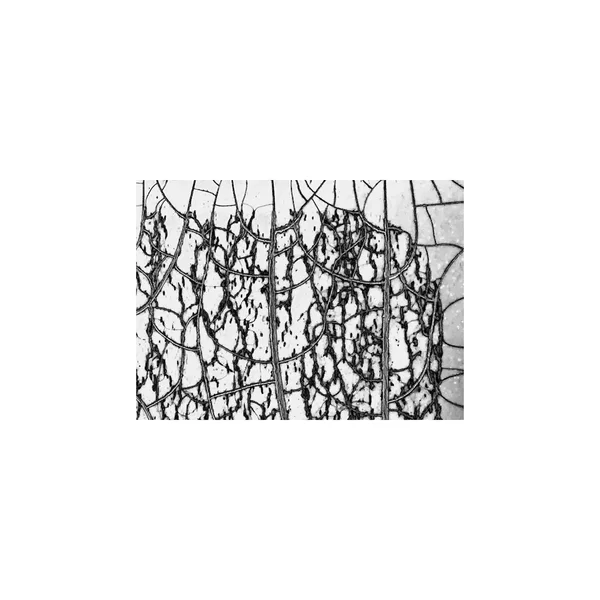 Kikuchi Yukinori and Kazuya Ishigami