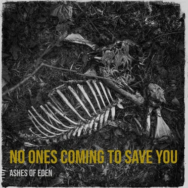 No Ones Coming to Save You
