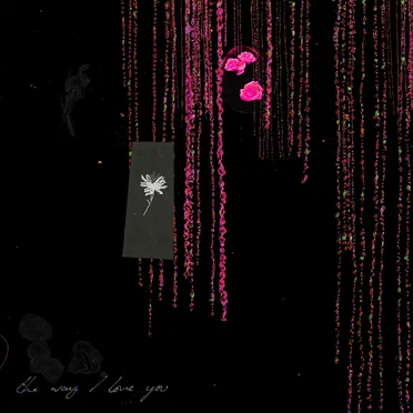 The Way I Love You (Remixes)