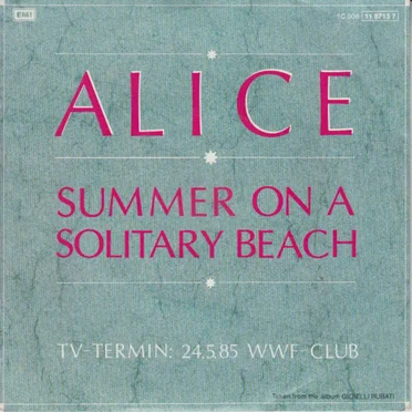 Summer on a Solitary Beach
