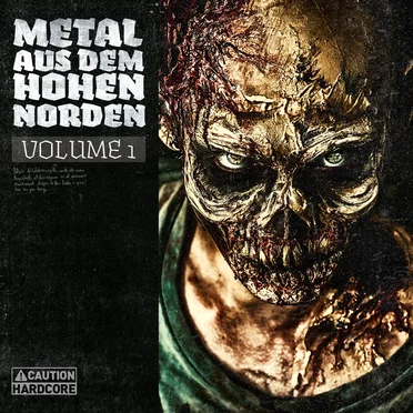 Metal aus dem hohen Norden, Vol. 1 by Various Artists - album cover