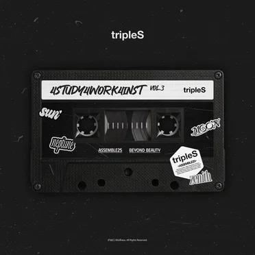 4study4work4inst Vol.3