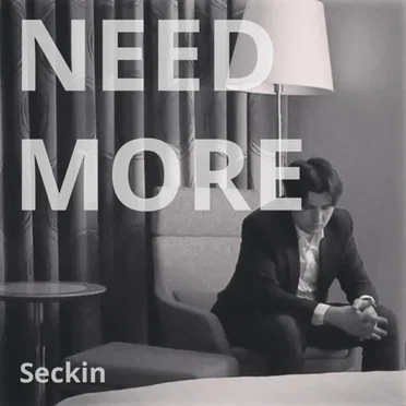 Need More by Seckin - album cover