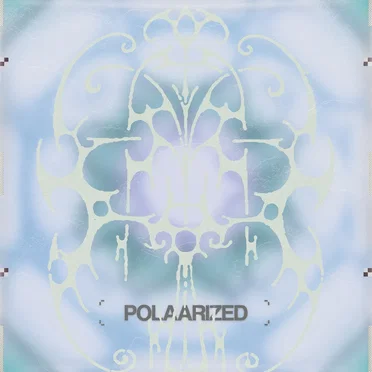 POLAARIZED by Various Artists - album cover
