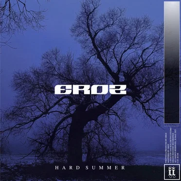Hard Summer by EROZ - album cover