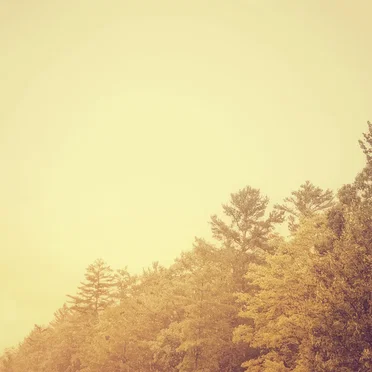 Home Normal x anthéne