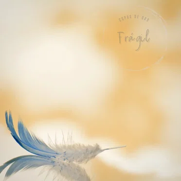 Frágil by Copas de Oro - album cover