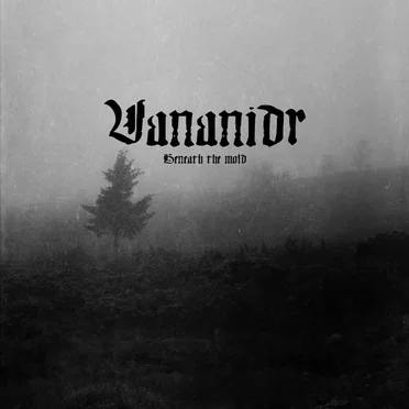 Beneath the Mold by Vananidr - album cover