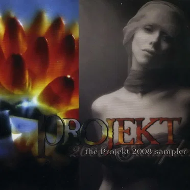 The Projekt 2008 Sampler by Various Artists - album cover
