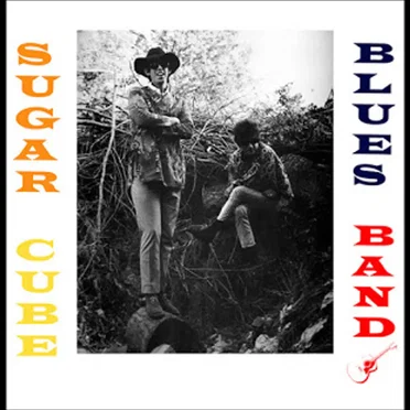 Sugar Cube Blues Band