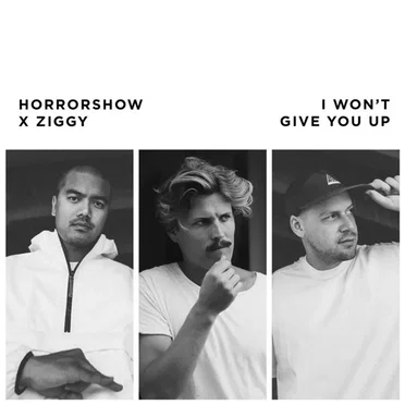 I Won't Give You Up