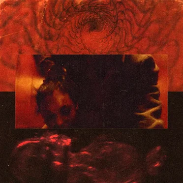 Prend ça dans ta gueule by Kept Woman - album cover
