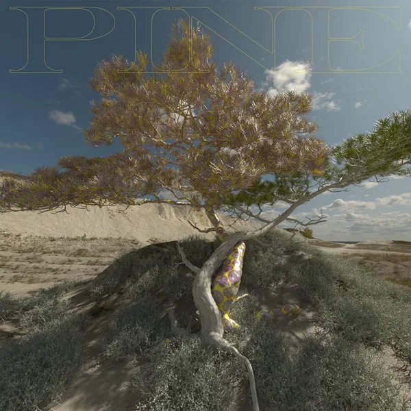 PINE