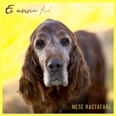 Ei anna tid by Nese Rastafari - album cover