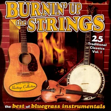 Burnin' Up the Strings: The Best of Bluegrass Instrumentals by Various Artists - album cover