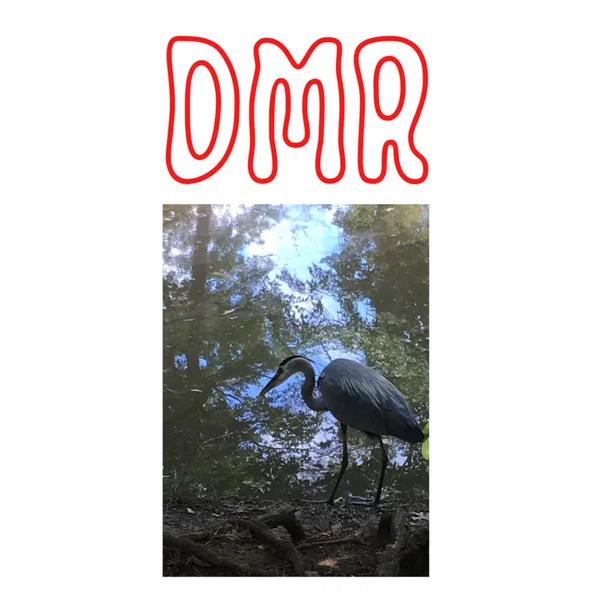 DMR
