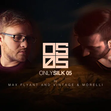 Only Silk 05 by Various Artists - album cover