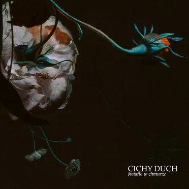 Światło w chmurze by Cichy Duch - album cover