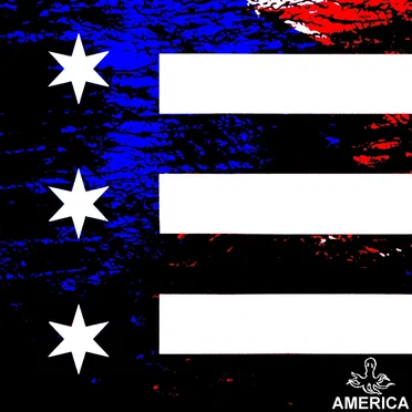 America by Octopus Montage - album cover