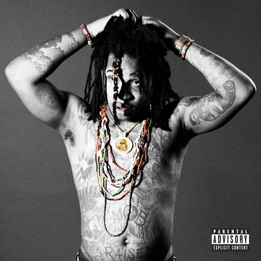 Lil 1 DTE by Lil 1 DTE - album cover