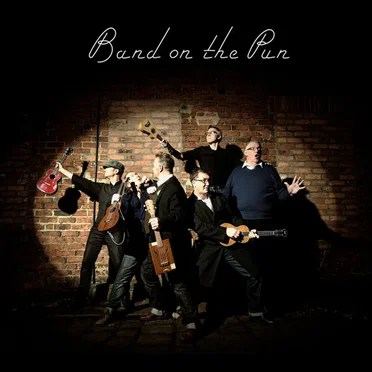 Band On The Pun by The Everly Pregnant Brothers - album cover