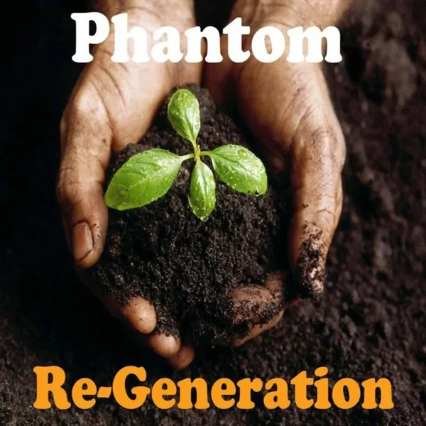 Re‐Generation