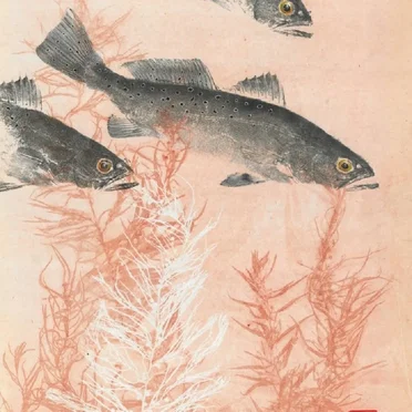 Kaiyo