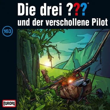 Die drei ??? 163: und der verschollene Pilot by Die drei ??? - album cover