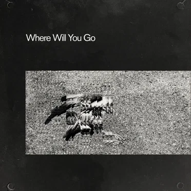 Where Will You Go by Day Clinic - album cover