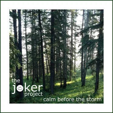 Calm Before the Storm by The Joker Project - album cover