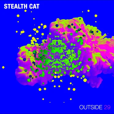 Outside 29 by Stealth Cat - album cover