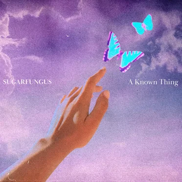 A Known Thing by SUGARFUNGUS - album cover